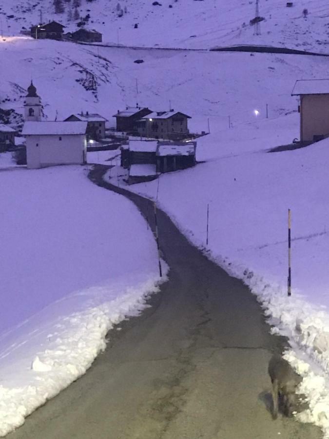 Baita Mattia Livigno Bagian luar foto